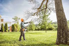 Seasonal Cleanup (Spring/Fall) in Joseph, OR